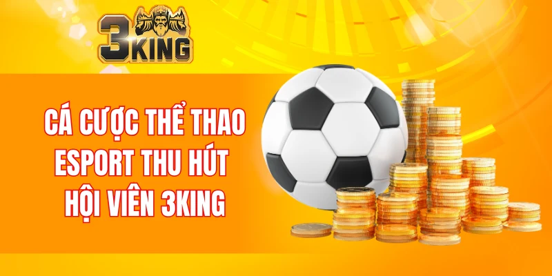 Cá cược thể thao esport thu hút hội viên 3KING