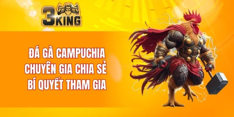 Đá Gà Campuchia - Những Điểm Nổi Bật Không Thể Bỏ Qua 5 Đá Gà Campuchia