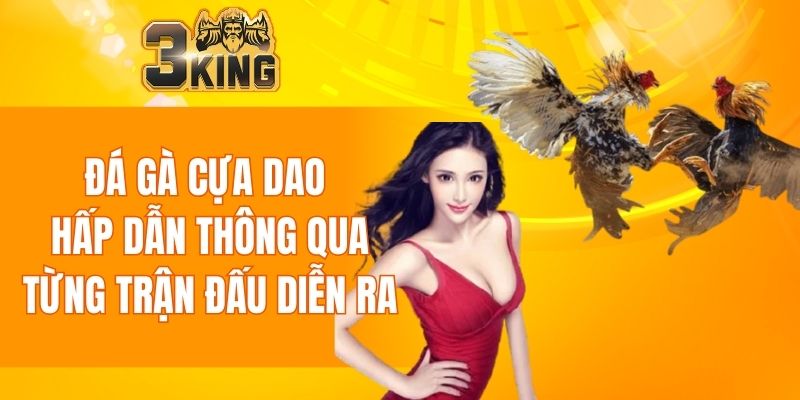 Đá Gà Cựa Dao - Mang Đến Trải Nghiệm Độc Đáo Và Hấp Dẫn 2 Đá Gà Cựa Dao