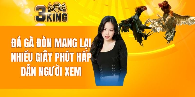 Đá Gà Đòn - Thu Hút Sự Chú Ý Của Đông Đảo Người Chơi 3 Đá Gà Đòn
