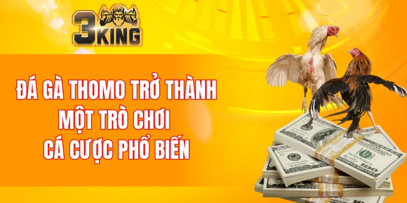 Nổ Hũ 88 - Tựa Game Đổi Thưởng Chất Lượng Nhất Năm 2025 5 Đá gà Thomo đã trở thành trò chơi cá cược phổ biến