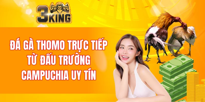 Đá Gà Thomo Trực Tiếp Từ Đấu Trường Campuchia Uy Tín 4 Đá Gà Thomo