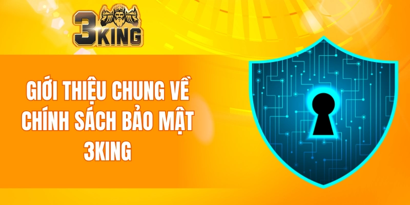 Chính Sách Bảo Mật 3KING 4 Giới thiệu chung về chính sách bảo mật 3KING cho người mới