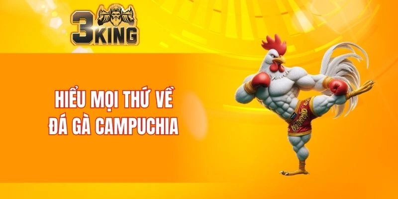 Nổ Hũ 88 - Tựa Game Đổi Thưởng Chất Lượng Nhất Năm 2025 5 Hiểu mọi thứ về đá gà Campuchia