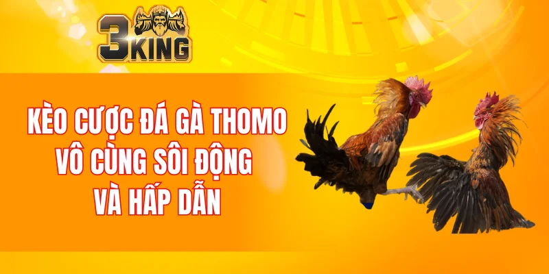 Nổ Hũ 88 - Tựa Game Đổi Thưởng Chất Lượng Nhất Năm 2025 6 Kèo cược đá gà Thomo vô cùng sôi động và hấp dẫn