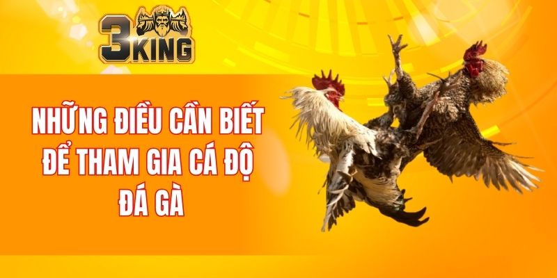 Nổ Hũ 88 - Tựa Game Đổi Thưởng Chất Lượng Nhất Năm 2025 6 Những điều cần biết để tham gia cá độ đá gà