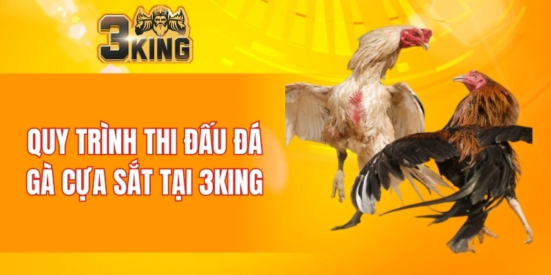 Nổ Hũ 88 - Tựa Game Đổi Thưởng Chất Lượng Nhất Năm 2025 6 Quy trình thi đấu đá gà cựa sắt tại 3KING