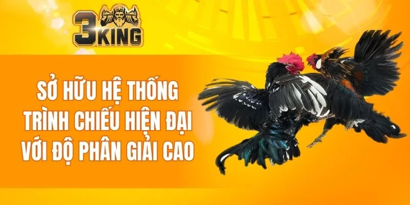 Đá Gà 3KING 5 Sở hữu hệ thống trình chiếu hiện đại với độ phân giải cao