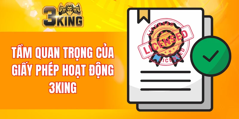 Giấy Phép Hoạt Động 3KING 5 Tầm quan trọng của giấy phép hoạt động 3KING