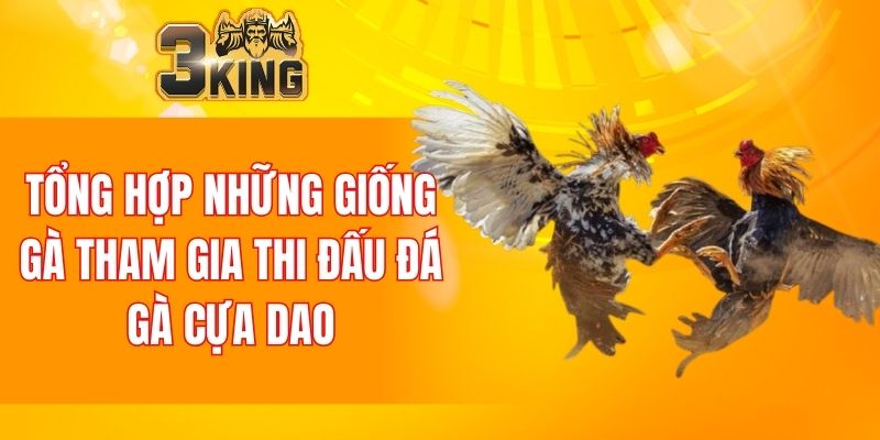 Nổ Hũ 88 - Tựa Game Đổi Thưởng Chất Lượng Nhất Năm 2025 7 Tổng hợp những giống gà tham gia thi đấu đá gà cựa dao
