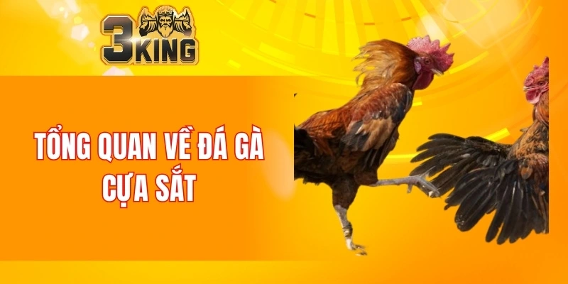 Nổ Hũ 88 - Tựa Game Đổi Thưởng Chất Lượng Nhất Năm 2025 5 Tổng quan về đá gà cựa sắt