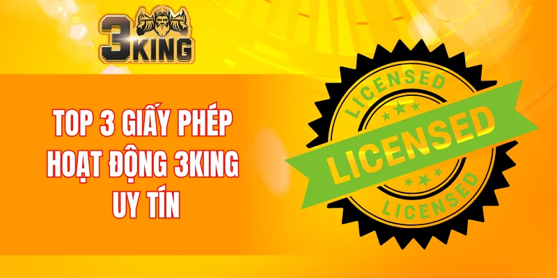 Giấy Phép Hoạt Động 3KING 4 Top 3 giấy phép hoạt động 3KING uy tín
